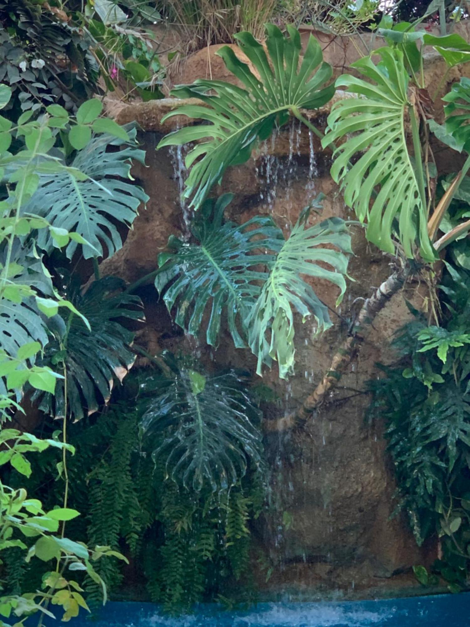 OuakamTropical Oasisアパートメント エクステリア 写真