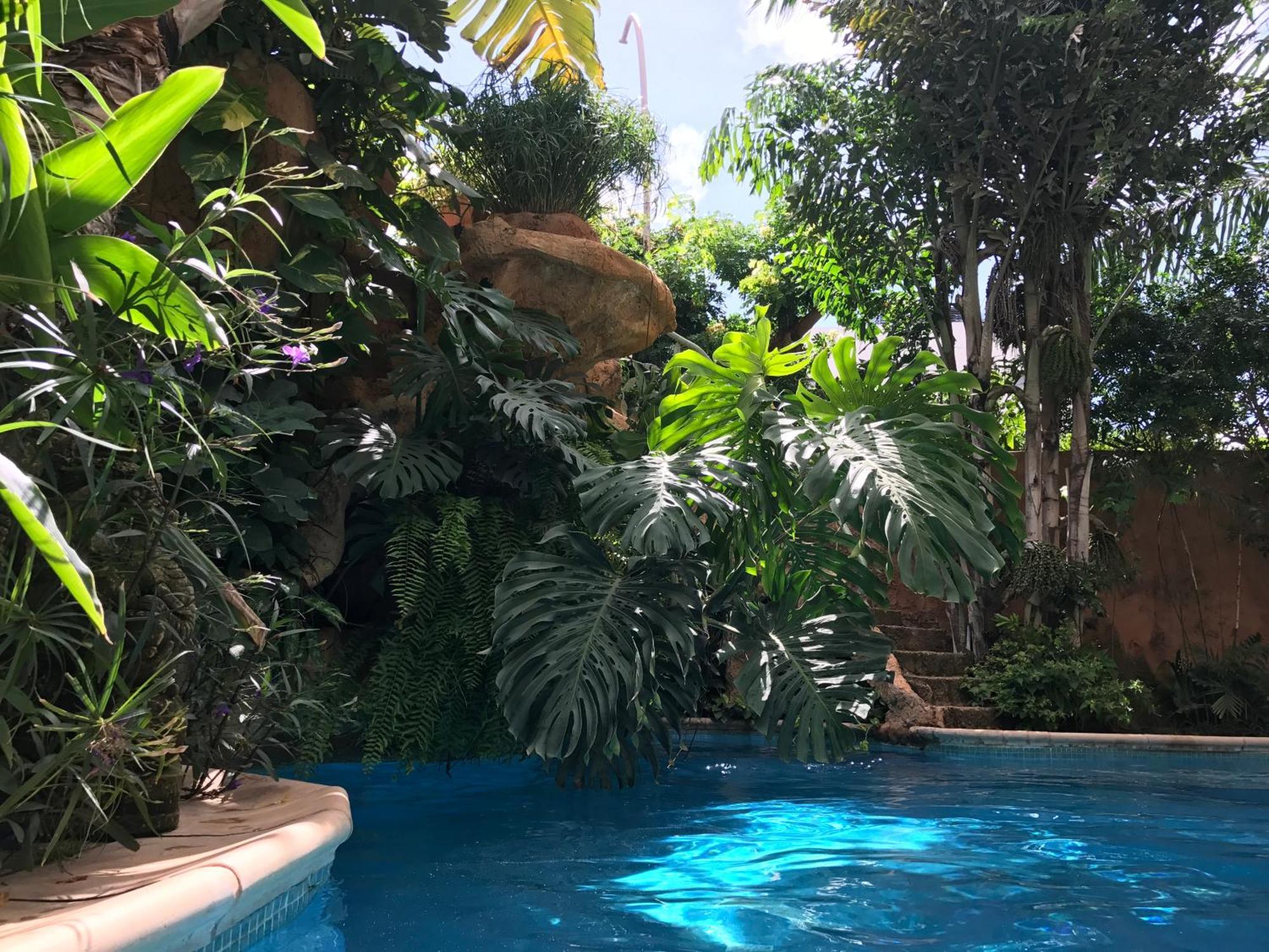 OuakamTropical Oasisアパートメント エクステリア 写真