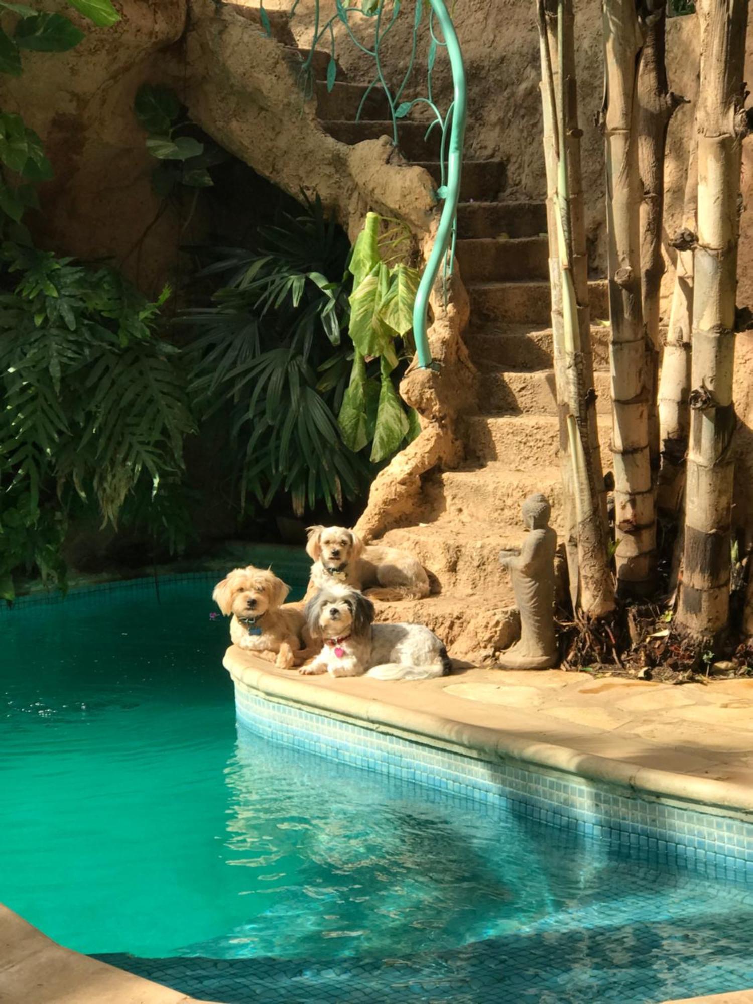 OuakamTropical Oasisアパートメント エクステリア 写真